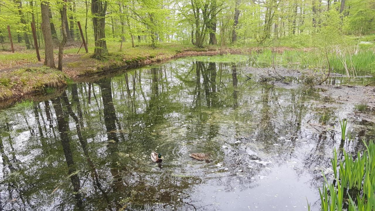 Penzion A Restaurace Nad Hradem Křivoklát المظهر الخارجي الصورة