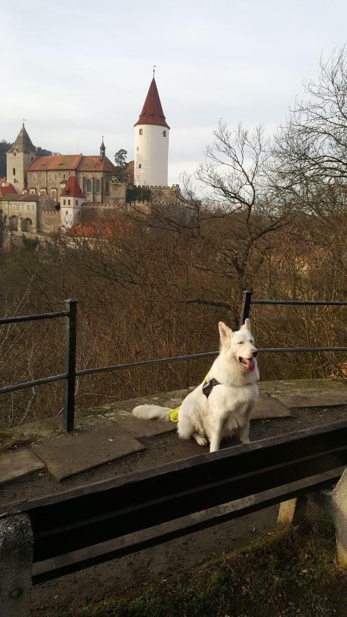 Penzion A Restaurace Nad Hradem Křivoklát المظهر الخارجي الصورة